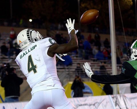 Michael Gallup