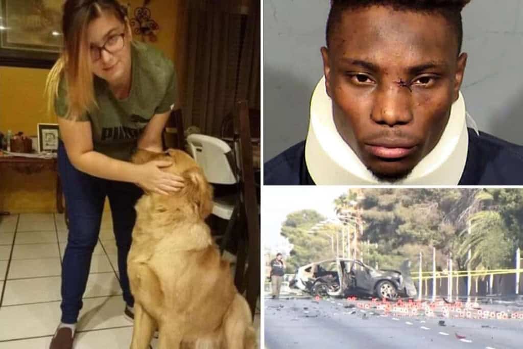 Woman petting golden retriever at home, showing love for dogs and pet care.