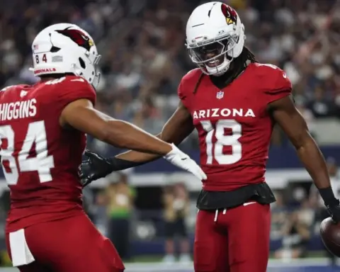Arizona Cardinals football players celebrating on the field during an NFL game, showcasing team spirit and excitement.